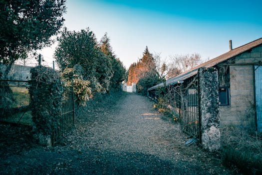 Creative Garden Privacy Ideas: Beyond Traditional Fences and Hedges