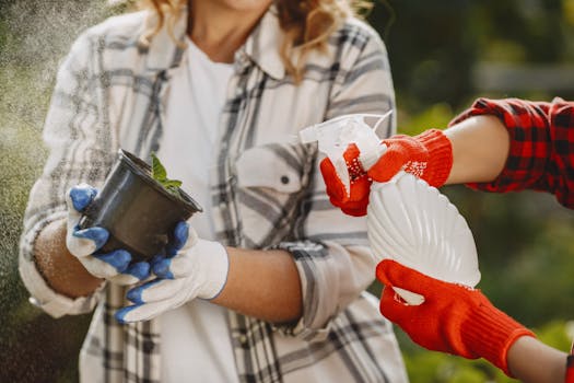 Spring Garden Revival: Expert Tips for Post-Winter Care and Planning