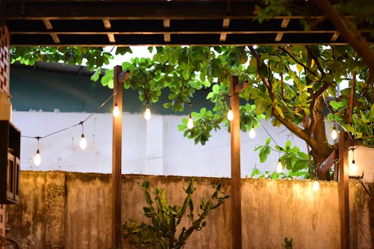 Illuminate Your Garden: A Complete Guide to Choosing the Best Outdoor Lighting