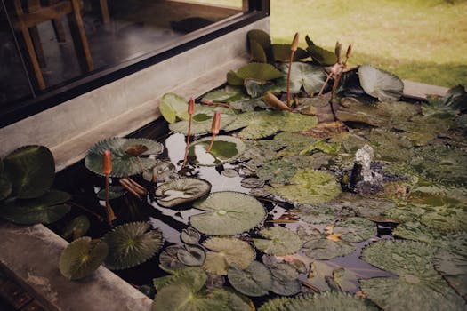 Transform Your Garden: The Ultimate Guide to Adding a Water Feature