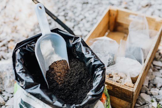 Unlock Your Garden's Potential: The Ultimate Guide to Composting at Home
