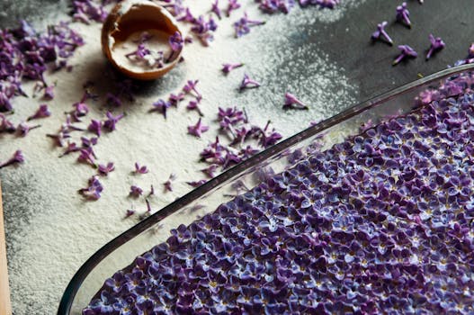 Boost Your Garden & Kitchen: The Joy of Growing Edible Flowers at Home