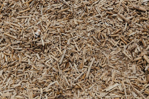 Master Mulching: Boost Your Garden's Health & Beauty Effortlessly