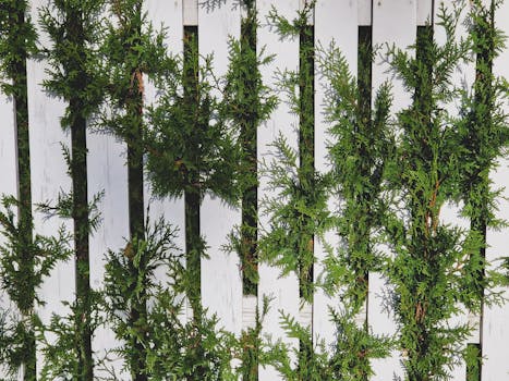 Green Privacy: How to Choose Shrubs for Living Fences in Czech Gardens