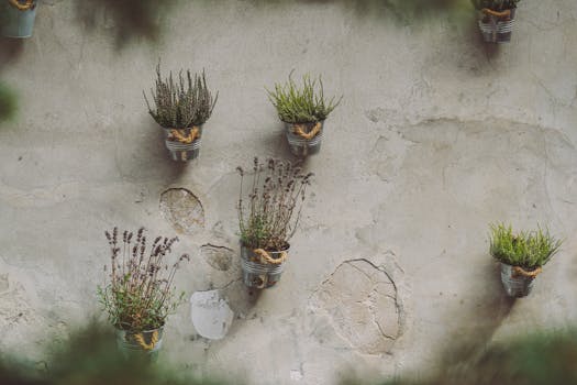 Maximize Small Spaces: Innovative Vertical Garden Ideas for Urban Areas
