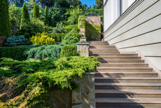 Transform Your Garden into a Biodiversity Oasis: A Step-by-Step Guide