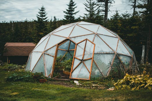 Thrive Naturally: Start a Sustainable Permaculture Garden in the Czech Republic
