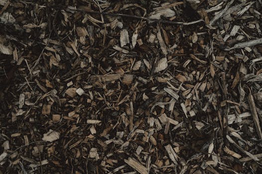 Unlocking Garden Vitality: The Essential Guide to Using Mulch