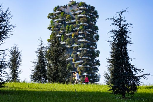 Sky-High Greenery: Creative Urban Gardening in the Vertical Dimension