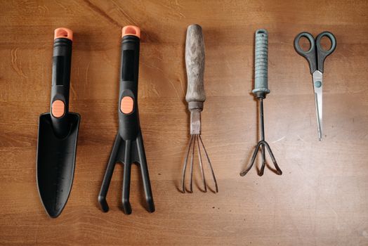 Optimize Your Garden: Essential Tools and Techniques for Success