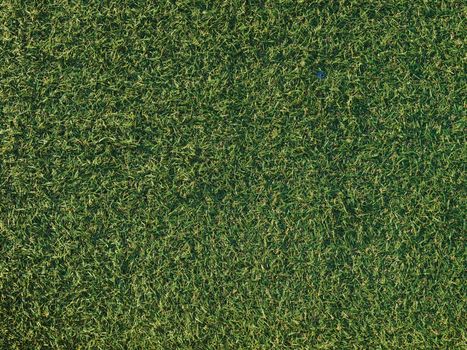 Top Mistakes in Lawn Establishment & How to Avoid Them for Perfect Turf