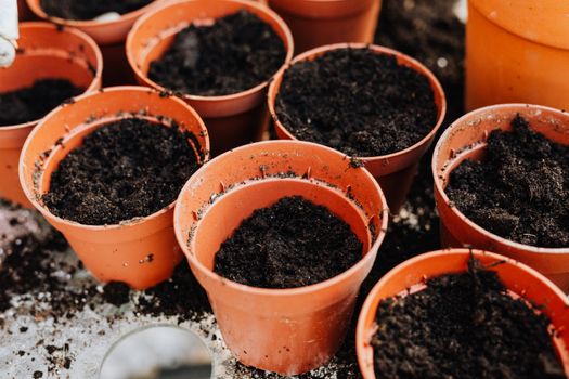 Maximize Your Yield: Essential Guide to Container Vegetable Gardening